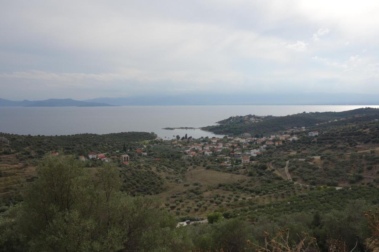 Beach Front House With View Marathos  Luaran gambar